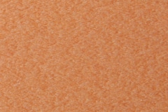 Cedar