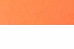 Mango-Orange-on-White