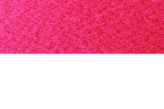 Scarlet-Red-on-White