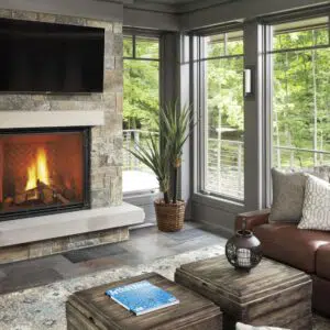 True Series Gas DV Fireplace